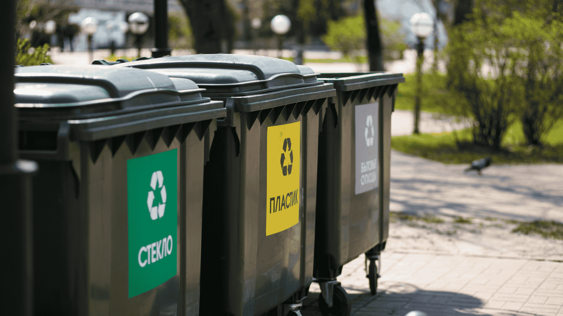 Waste Management and Disposal